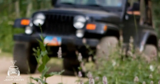 Personalize Your Jeep: From Light Covers to Ducks